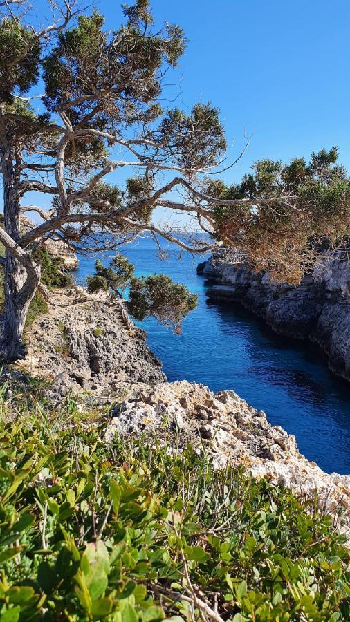 Villa Sirena Cala'N Blanes  Exteriör bild